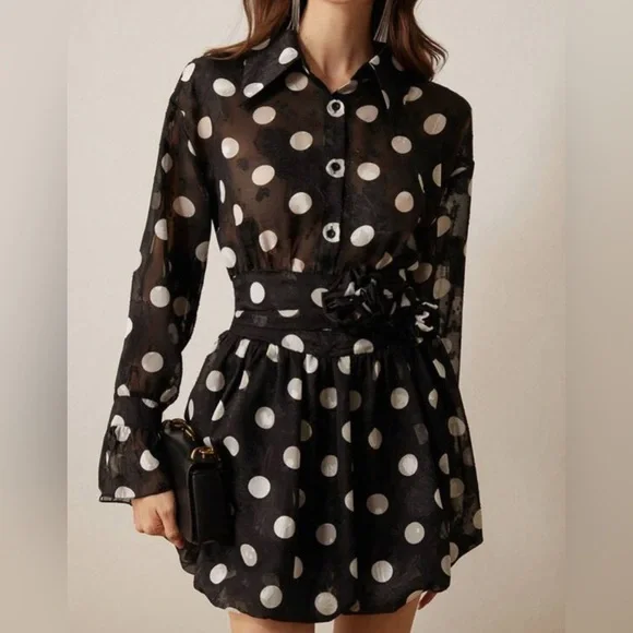 Black and White Polka Dot Sheer Chiffon Dress - Picture 2 of 5